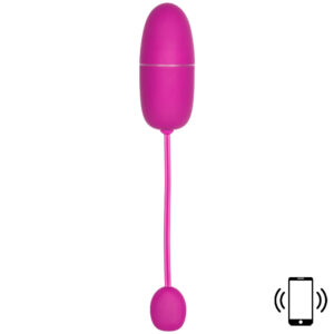 Multifunctional App controls the love vibrating egg