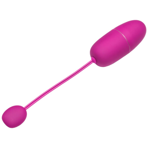 Multifunctional App controls the love vibrating egg - Image 3