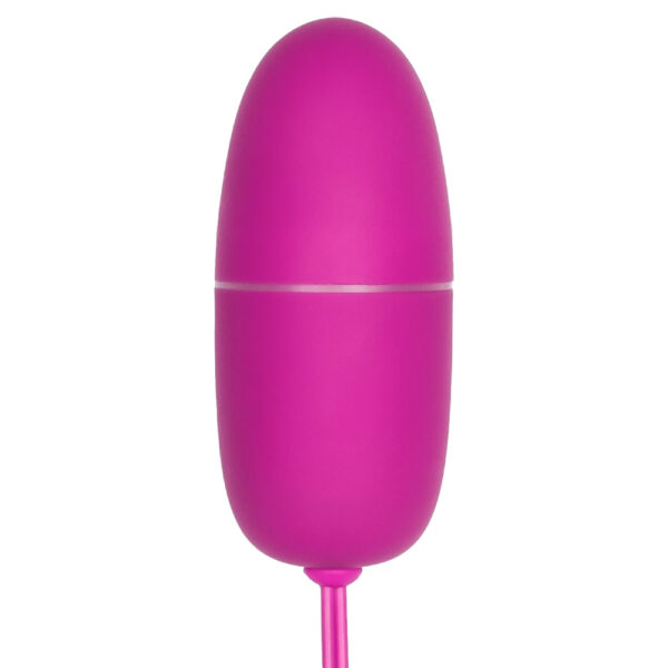 Multifunctional App controls the love vibrating egg - Image 4